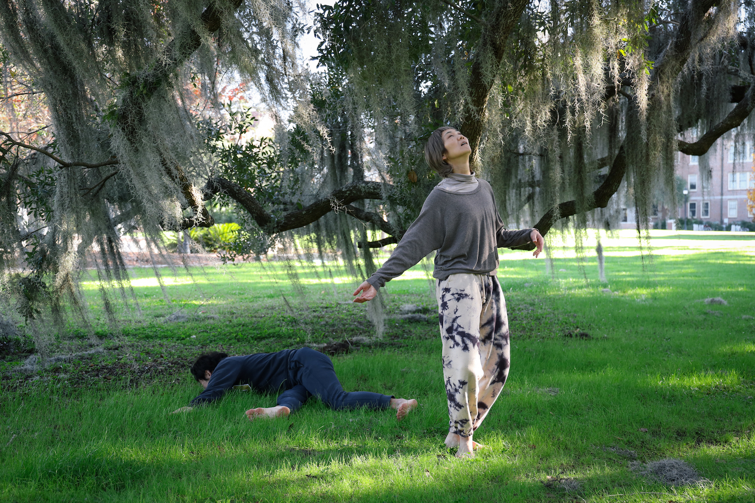 Two dancers perform beneath a live oak tree covered in Spanish moss. 